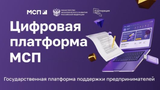 Пензенские бизнесмены получили 56 микрозаймов через сервис МСП.РФ