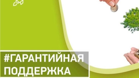 Гарантийная поддержка «Поручителя» помогает развиваться агропромышленному сектору Пензенской области